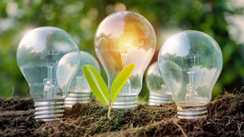 Luminous light bulb