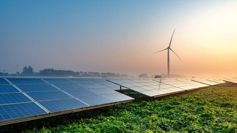 solar panel farm
