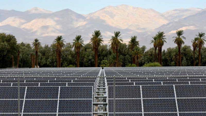 solar panles farm
